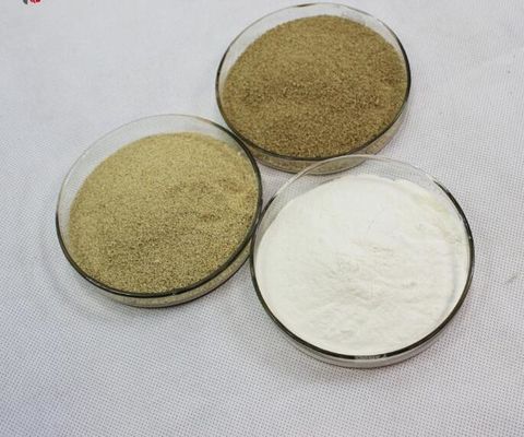 White  Feed Grade Enzymes Preservatives Extraordinary Stable Activity