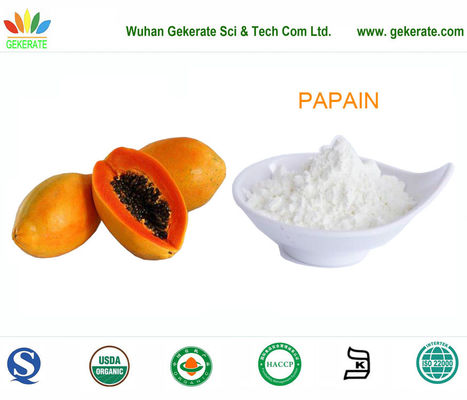 Protease van de papaïne de super die zuiverheid van papajafruit wordt gezuiverd, voedingsenzymmen